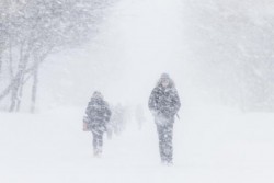 Обратно в осень