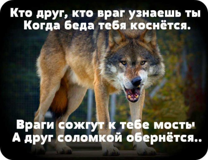 Мы уже не те...