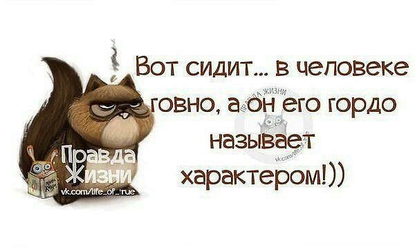 Викторики из цикла 3 будь без дерьма