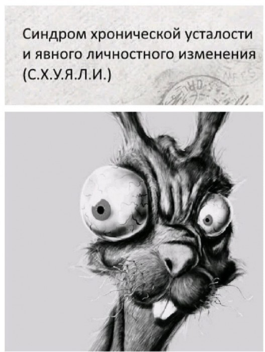 Синдром "С.Х.У.Я.Л.И."