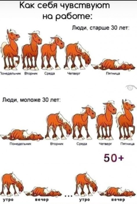 Я был выносливым конём