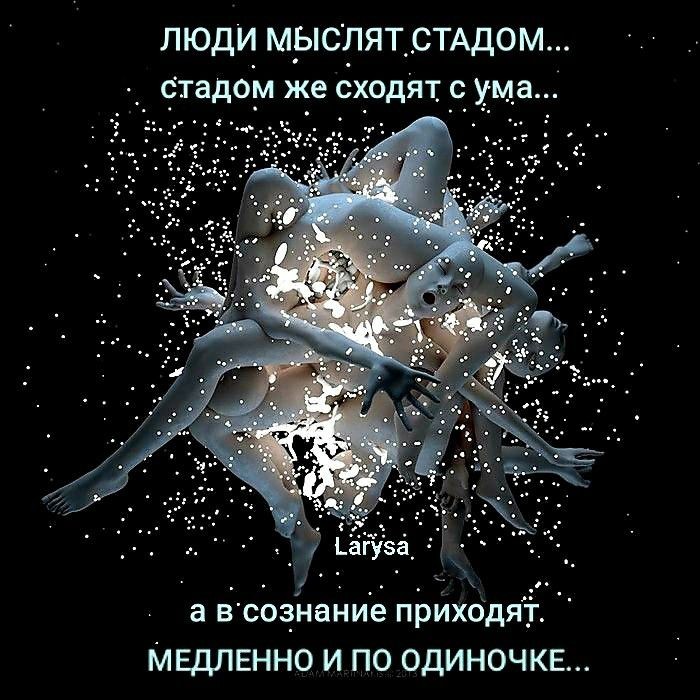 Стадная философия.