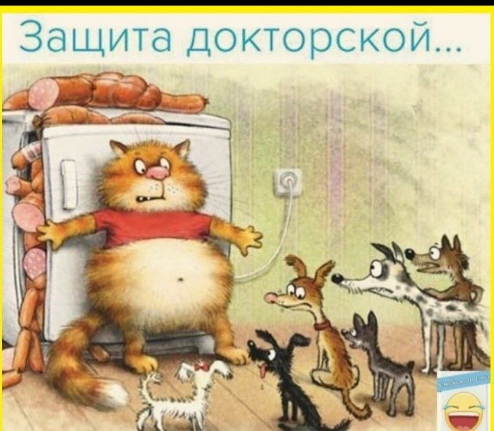 Защита докторской...