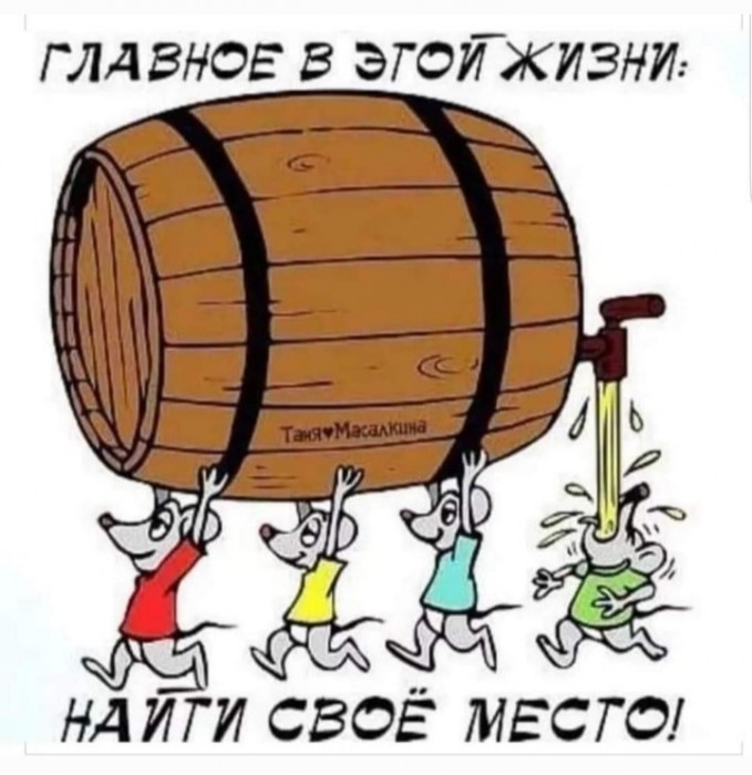 Найти своё место