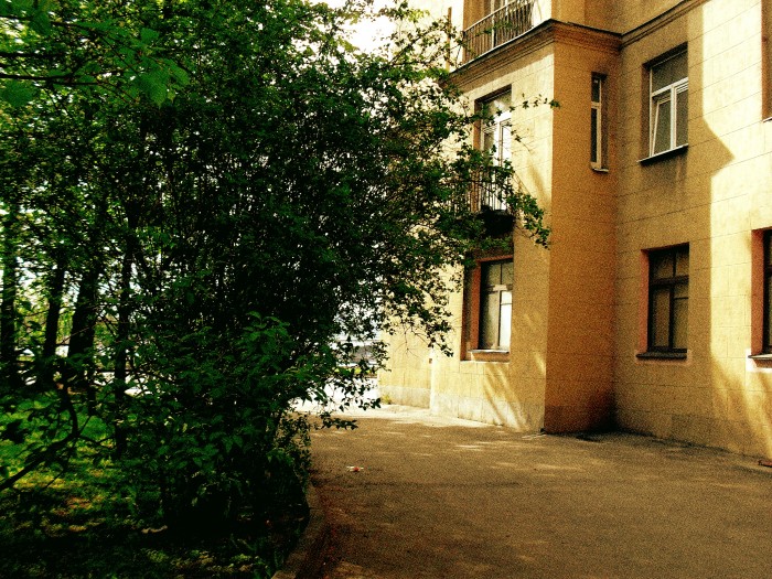Я &ndash; дерево с зарубкой на коре...