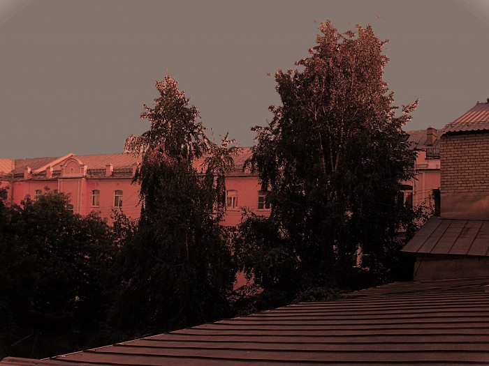 Но птицы поют...