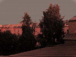 Но птицы поют...