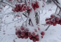 Как согреть мне &ndash; Душу...