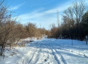 Конец зимы&hellip;
