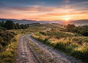 Манит вдаль за собой дорога...