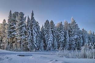 Начало января...