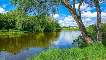Неглубокая речушка...