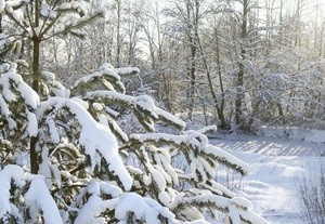 Покидает нас зима...