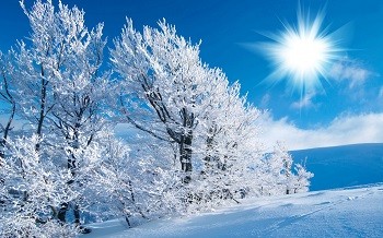 Солнечное утро...