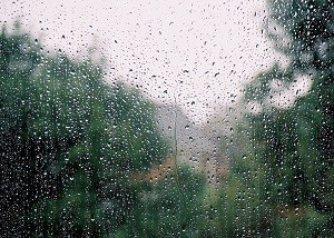 Летний дождик...