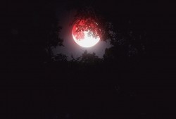 CXXVI. Приходи этой ночью к забытым руинам