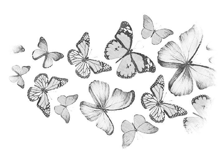 Бабочки-мысли