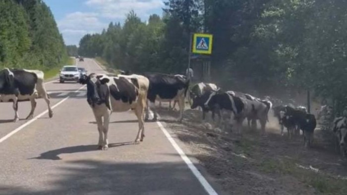 На районе