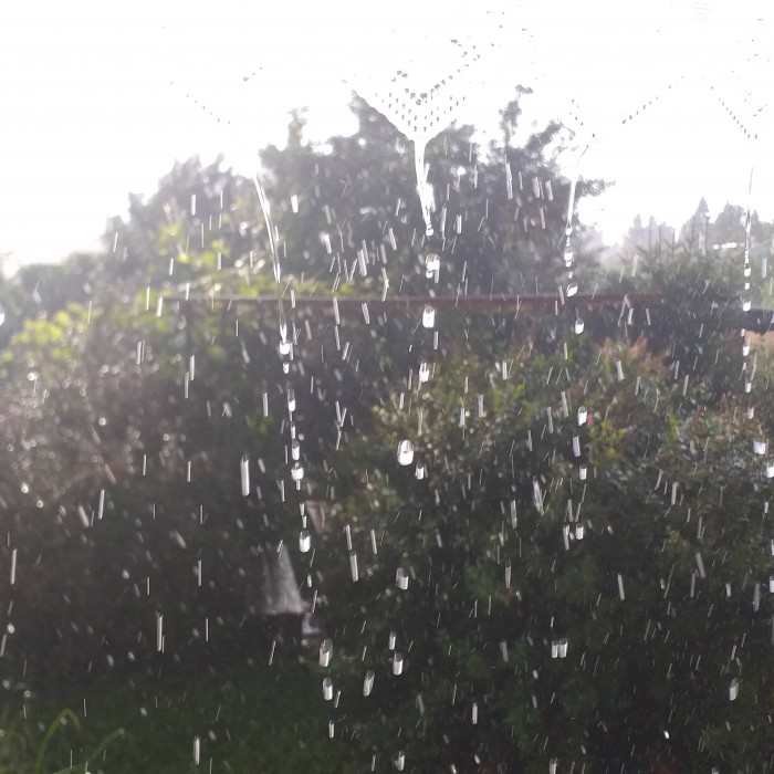Август. Дождь