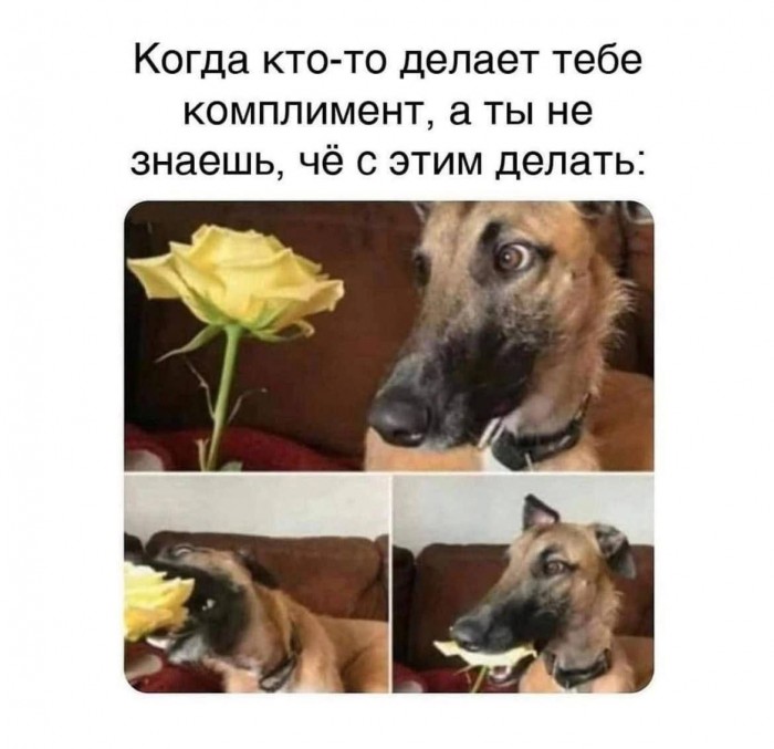ПУПСИК