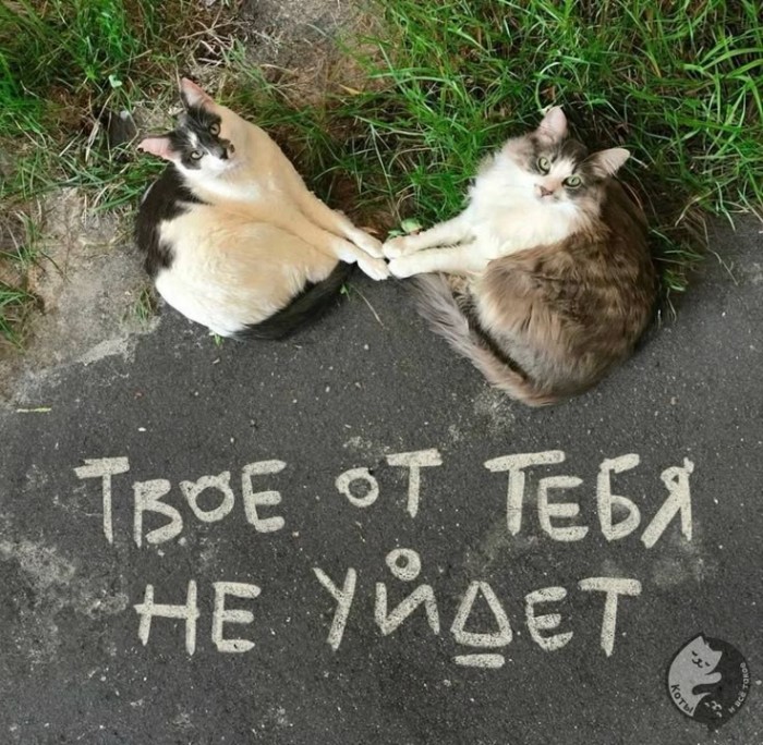 Взаимное отчуждение
