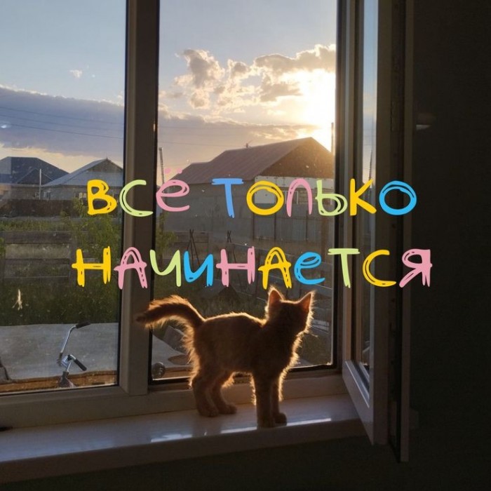Роскошь одиночества
