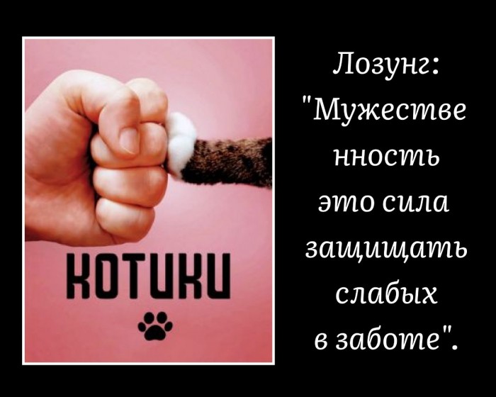Котики (фильм)