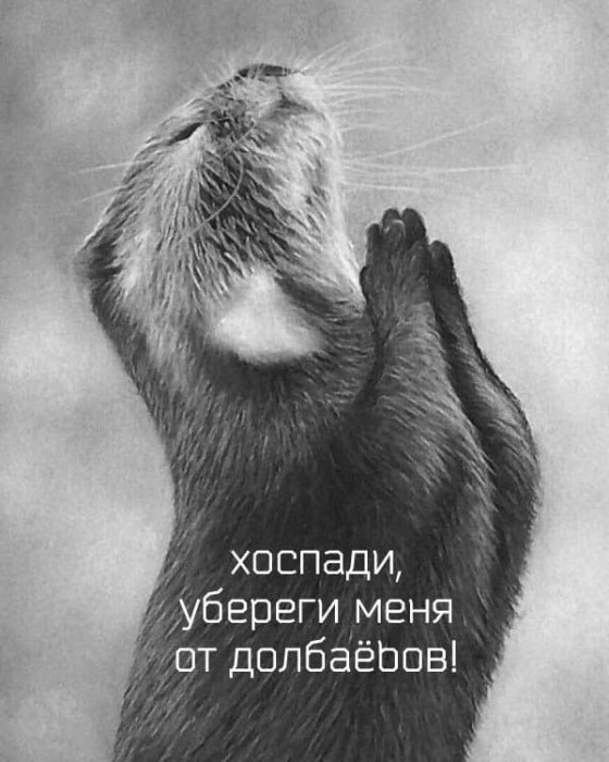 Ибобо