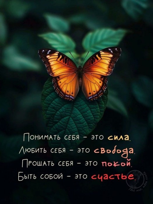 САМООБЕСЦЕНИВАНИЕ