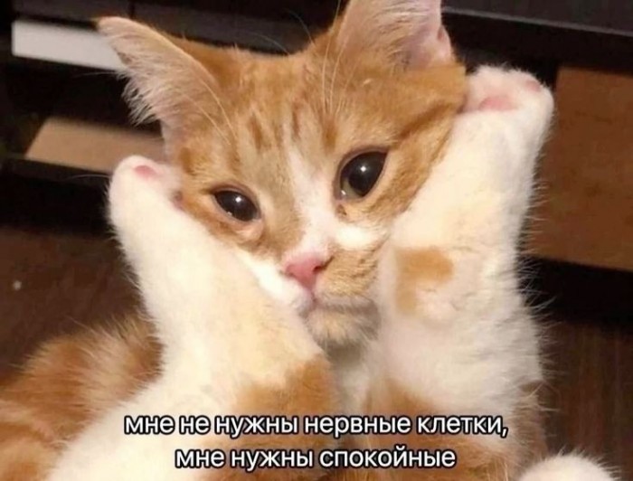 Эмоциональная разгрузка