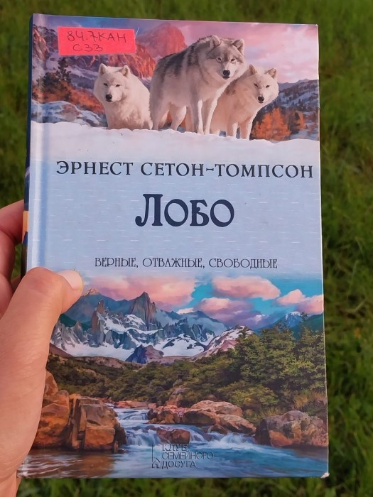 Лобо