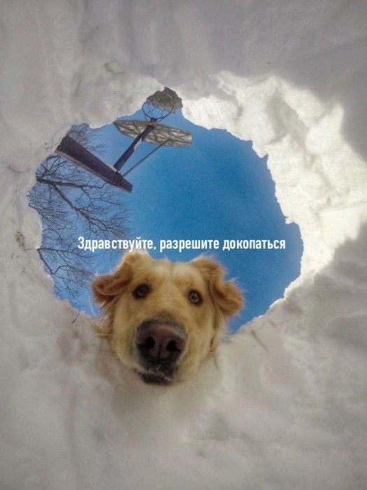 Курва из космоса