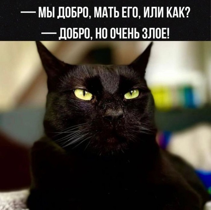 Безбожно-прекрасная