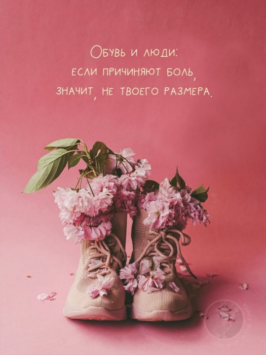 Снятое проклятье