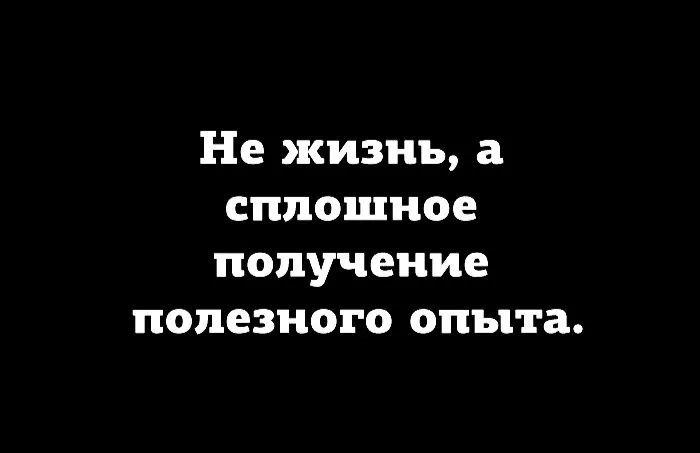 Социализация