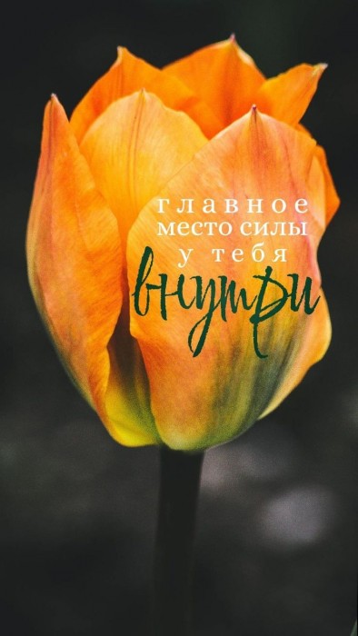 Мгновение