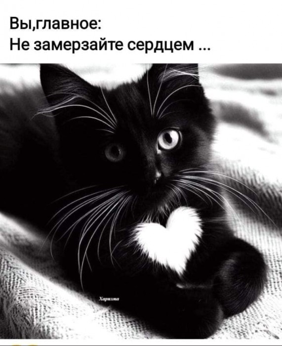 Переключись