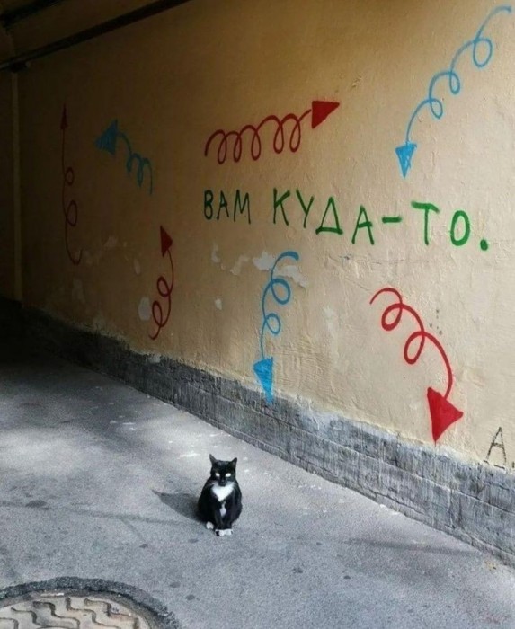 [ Bom-bom ]