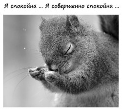 Перенасыщение