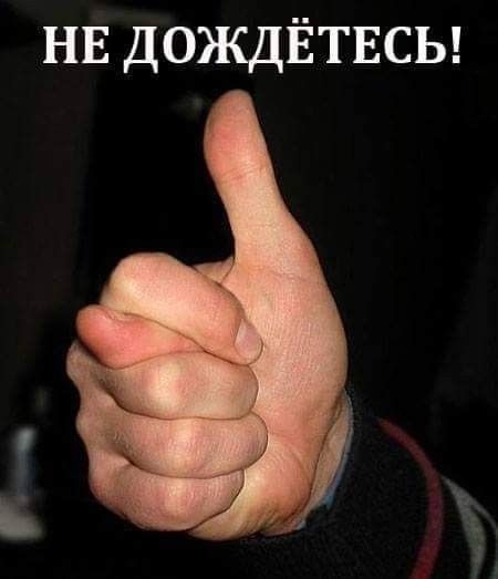Любопытство