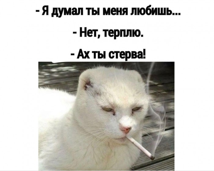 [ Озарение ]