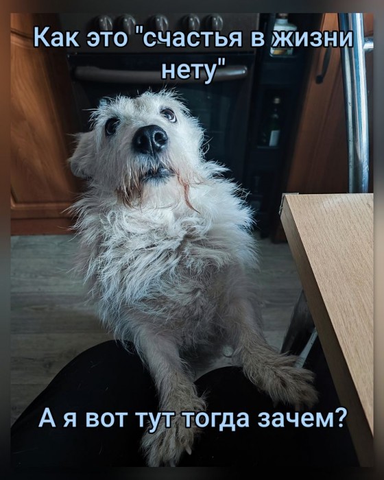 Слепота сердец