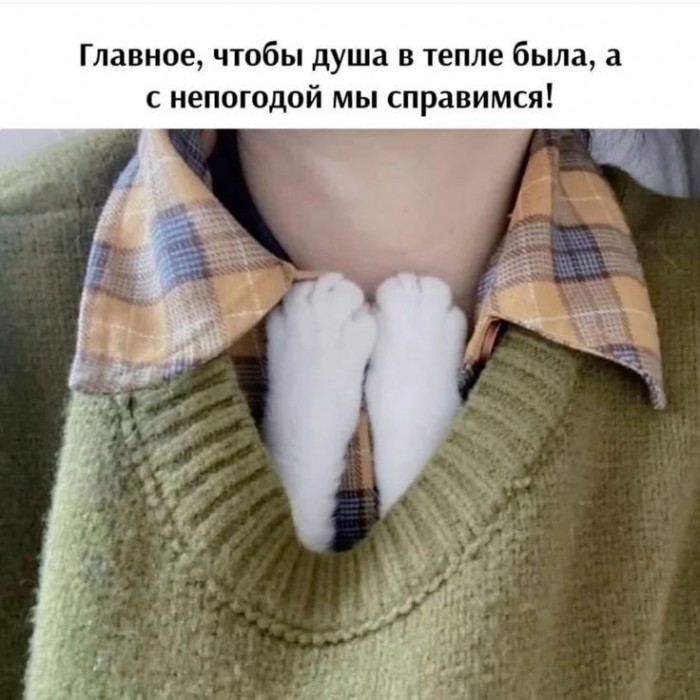 Погода