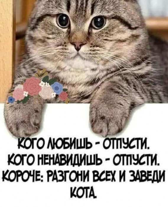 ССОРА