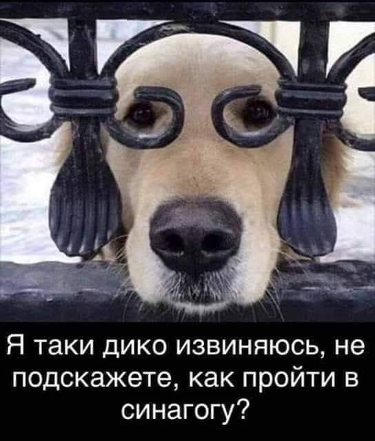 Принятие