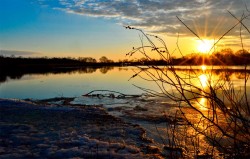 Все это было колыбельным мартом.Фото из инт.