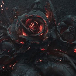 Время мёртвых роз