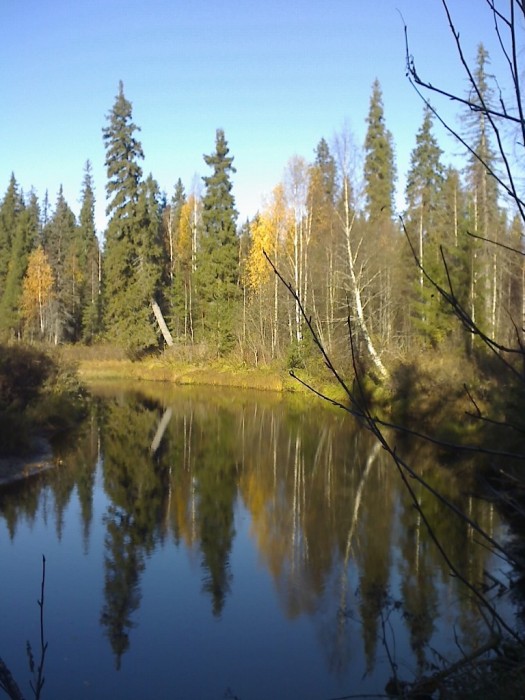Моя осень