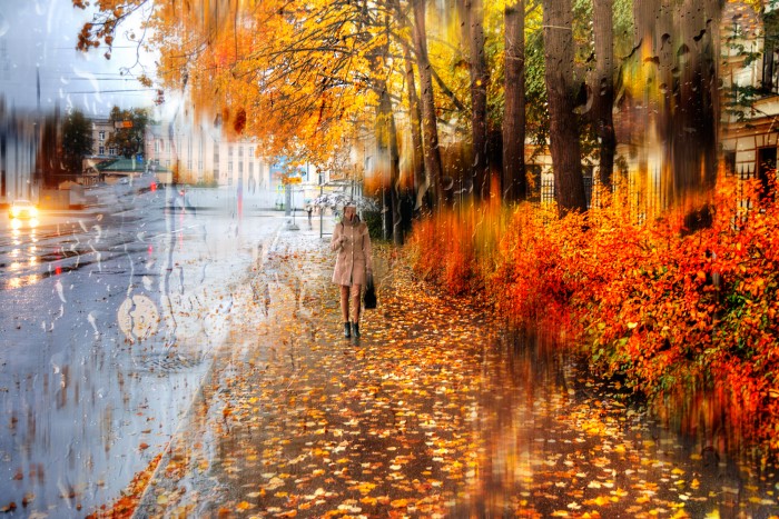 Дождь размывает краски октября