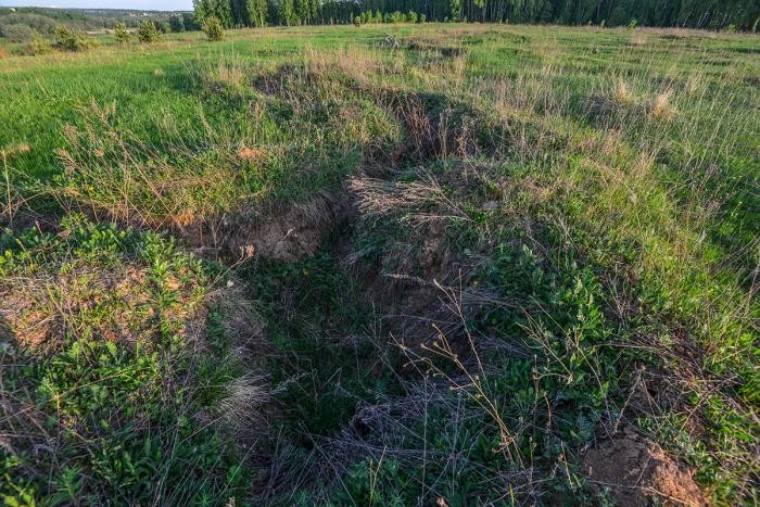 Рубцы окопов, да воронок раны